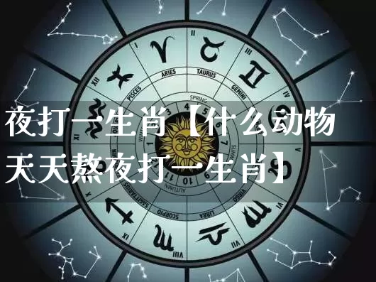 夜打一生肖【什么动物天天熬夜打一生肖】_https://www.dao-sheng-yuan.com_生肖属相_第1张