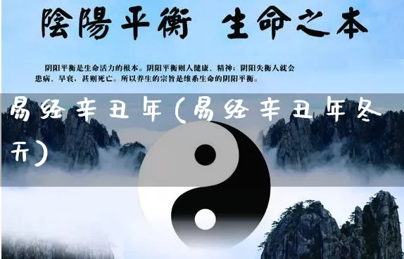 易经辛丑年(易经辛丑年冬天)_https://www.dao-sheng-yuan.com_易经_第1张