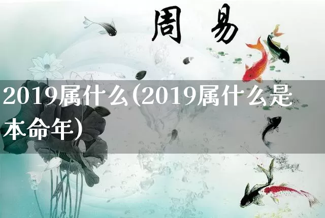 2019属什么(2019属什么是本命年)_https://www.dao-sheng-yuan.com_起名_第1张