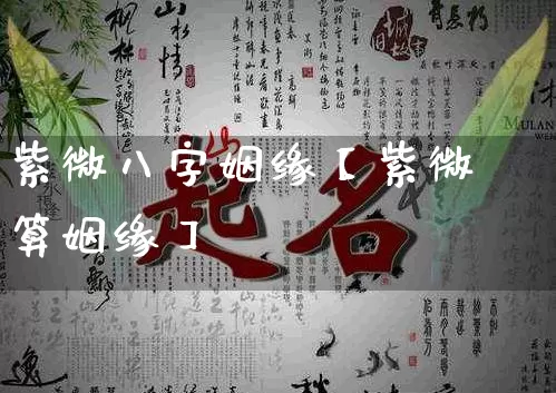 紫微八字姻缘【紫微算姻缘】_https://www.dao-sheng-yuan.com_八字_第1张