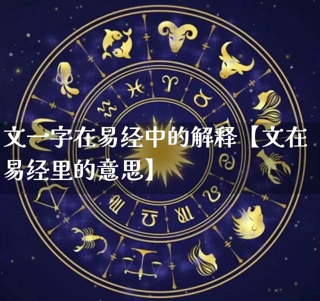 文一字在易经中的解释【文在易经里的意思】_https://www.dao-sheng-yuan.com_易经_第1张