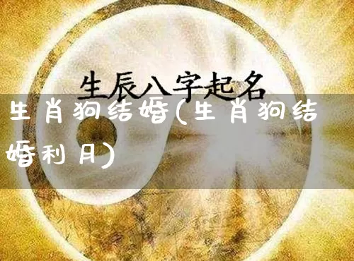 生肖狗结婚(生肖狗结婚利月)_https://www.dao-sheng-yuan.com_生肖属相_第1张