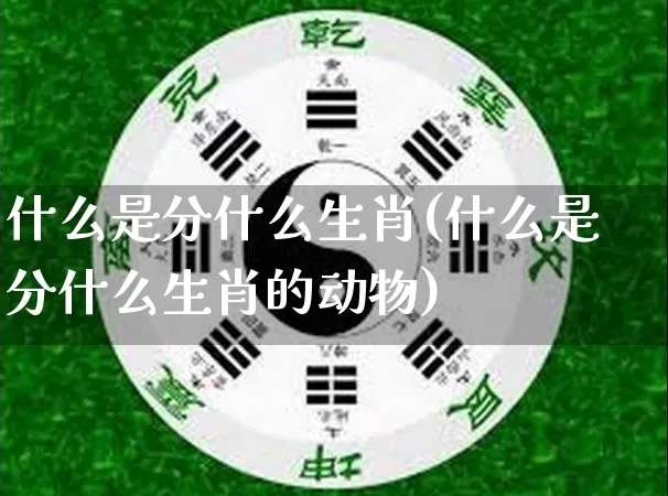 什么是分什么生肖(什么是分什么生肖的动物)_https://www.dao-sheng-yuan.com_生肖属相_第1张