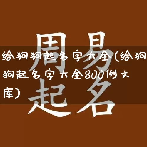 给狗狗起名字大全(给狗狗起名字大全800例文库)_https://www.dao-sheng-yuan.com_周公解梦_第1张