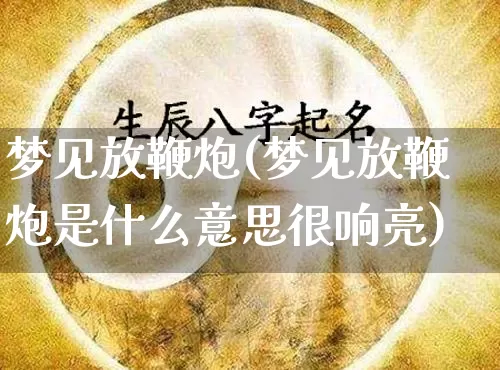 梦见放鞭炮(梦见放鞭炮是什么意思很响亮)_https://www.dao-sheng-yuan.com_八字_第1张