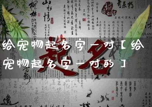 给宠物起名字一对【给宠物起名字一对的】_https://www.dao-sheng-yuan.com_起名_第1张