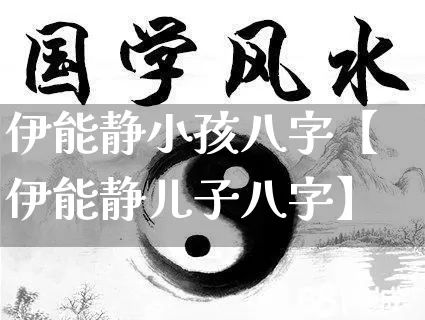 伊能静小孩八字【伊能静儿子八字】_https://www.dao-sheng-yuan.com_八字_第1张