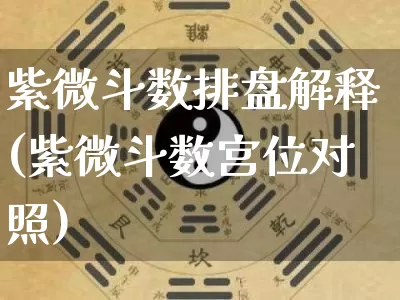 紫微斗数排盘解释(紫微斗数宫位对照)_https://www.dao-sheng-yuan.com_十二星座_第1张