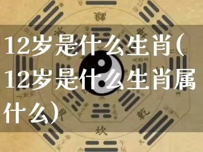 12岁是什么生肖(12岁是什么生肖属什么)_https://www.dao-sheng-yuan.com_生肖属相_第1张