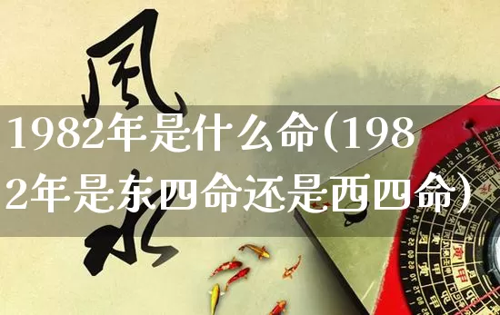 1982年是什么命(1982年是东四命还是西四命)_https://www.dao-sheng-yuan.com_风水_第1张