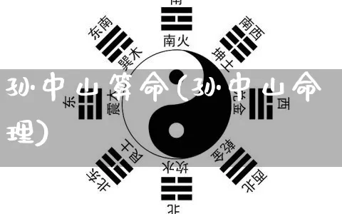 孙中山算命(孙中山命理)_https://www.dao-sheng-yuan.com_算命_第1张