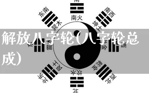 解放八字轮(八字轮总成)_https://www.dao-sheng-yuan.com_八字_第1张