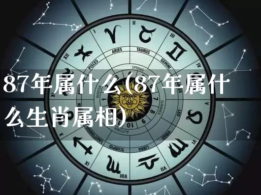 87年属什么(87年属什么生肖属相)_https://www.dao-sheng-yuan.com_周公解梦_第1张