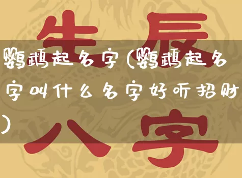 鹦鹉起名字(鹦鹉起名字叫什么名字好听招财)_https://www.dao-sheng-yuan.com_起名_第1张