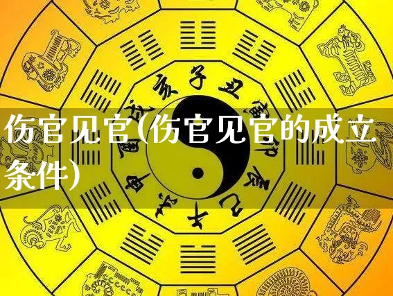 伤官见官(伤官见官的成立条件)_https://www.dao-sheng-yuan.com_十二星座_第1张