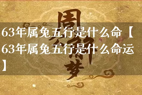 63年属兔五行是什么命【63年属兔五行是什么命运】_https://www.dao-sheng-yuan.com_五行_第1张