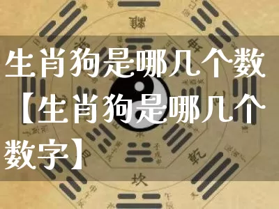 生肖狗是哪几个数【生肖狗是哪几个数字】_https://www.dao-sheng-yuan.com_生肖属相_第1张