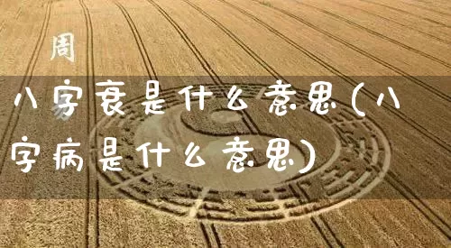 八字衰是什么意思(八字病是什么意思)_https://www.dao-sheng-yuan.com_八字_第1张