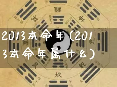 2013本命年(2013本命年属什么)_https://www.dao-sheng-yuan.com_道源国学_第1张