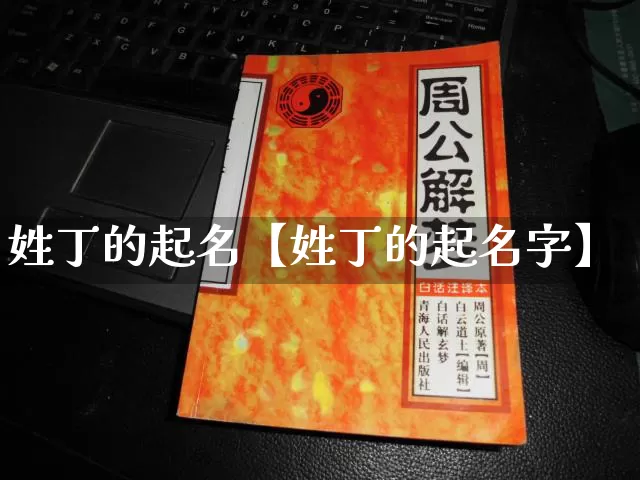 姓丁的起名【姓丁的起名字】_https://www.dao-sheng-yuan.com_起名_第1张