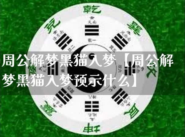 周公解梦黑猫入梦【周公解梦黑猫入梦预示什么】_https://www.dao-sheng-yuan.com_周公解梦_第1张