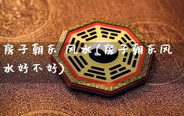 房子朝东 风水(房子朝东风水好不好)_https://www.dao-sheng-yuan.com_风水_第1张