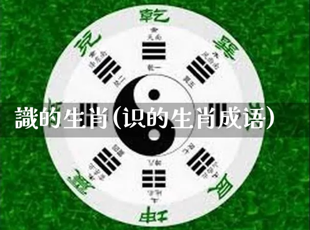 識的生肖(识的生肖成语)_https://www.dao-sheng-yuan.com_生肖属相_第1张