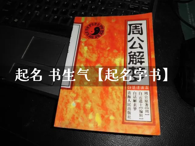 起名 书生气【起名字书】_https://www.dao-sheng-yuan.com_起名_第1张