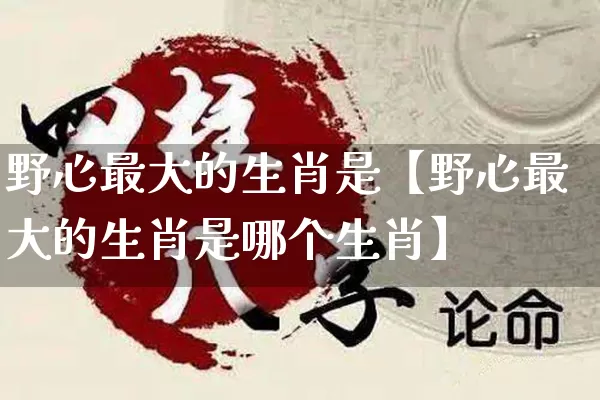 野心最大的生肖是【野心最大的生肖是哪个生肖】_https://www.dao-sheng-yuan.com_生肖属相_第1张