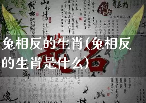 兔相反的生肖(兔相反的生肖是什么)_https://www.dao-sheng-yuan.com_生肖属相_第1张