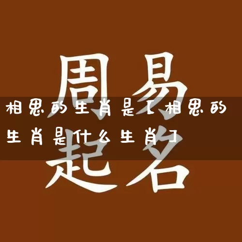 相思的生肖是【相思的生肖是什么生肖】_https://www.dao-sheng-yuan.com_生肖属相_第1张