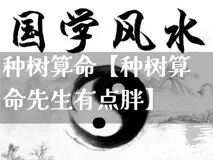 种树算命【种树算命先生有点胖】_https://www.dao-sheng-yuan.com_算命_第1张