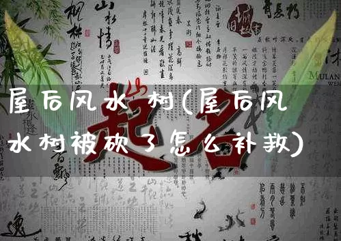 屋后风水 树(屋后风水树被砍了怎么补救)_https://www.dao-sheng-yuan.com_风水_第1张