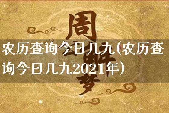 农历查询今日几九(农历查询今日几九2021年)_https://www.dao-sheng-yuan.com_生肖属相_第1张