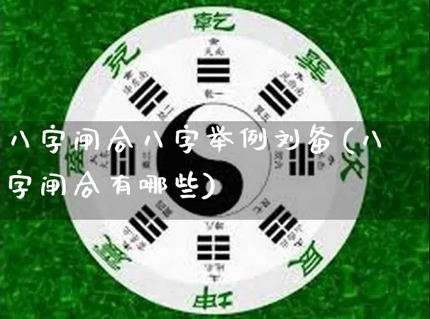 八字闸合八字举例刘备(八字闸合有哪些)_https://www.dao-sheng-yuan.com_八字_第1张