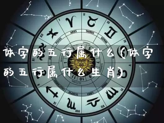 体字的五行属什么(体字的五行属什么生肖)_https://www.dao-sheng-yuan.com_五行_第1张