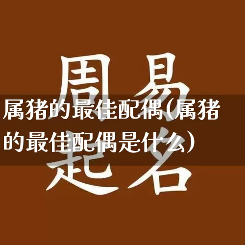 属猪的最佳配偶(属猪的最佳配偶是什么)_https://www.dao-sheng-yuan.com_十二星座_第1张