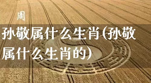 孙敬属什么生肖(孙敬属什么生肖的)_https://www.dao-sheng-yuan.com_生肖属相_第1张