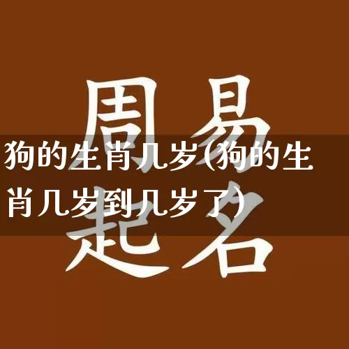 狗的生肖几岁(狗的生肖几岁到几岁了)_https://www.dao-sheng-yuan.com_生肖属相_第1张