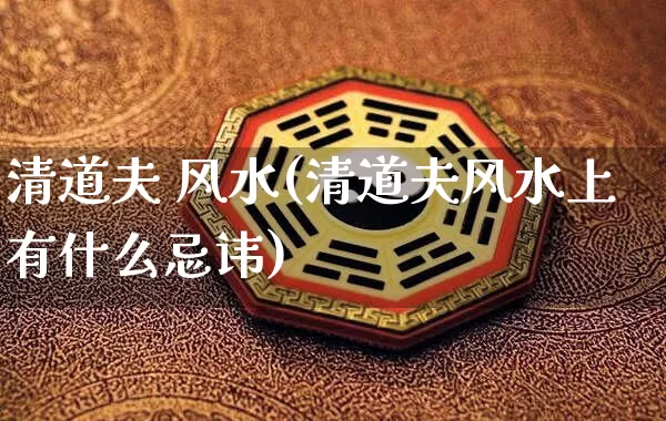 清道夫 风水(清道夫风水上有什么忌讳)_https://www.dao-sheng-yuan.com_风水_第1张