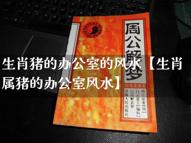 生肖猪的办公室的风水【生肖属猪的办公室风水】_https://www.dao-sheng-yuan.com_风水_第1张