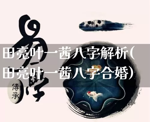 田亮叶一茜八字解析(田亮叶一茜八字合婚)_https://www.dao-sheng-yuan.com_八字_第1张