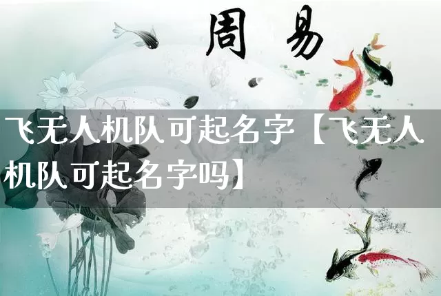 飞无人机队可起名字【飞无人机队可起名字吗】_https://www.dao-sheng-yuan.com_起名_第1张