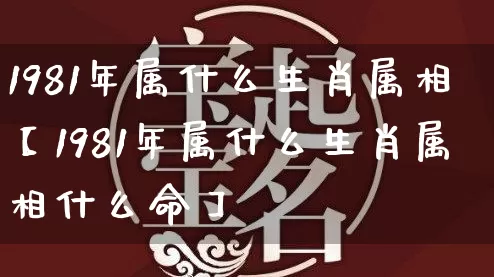 1981年属什么生肖属相【1981年属什么生肖属相什么命】_https://www.dao-sheng-yuan.com_生肖属相_第1张