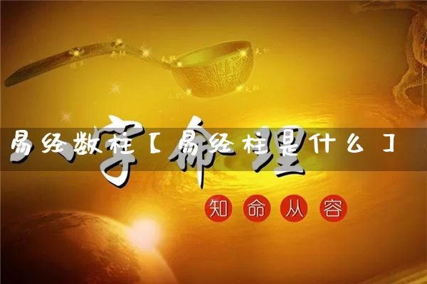 易经数柱【易经柱是什么】_https://www.dao-sheng-yuan.com_易经_第1张