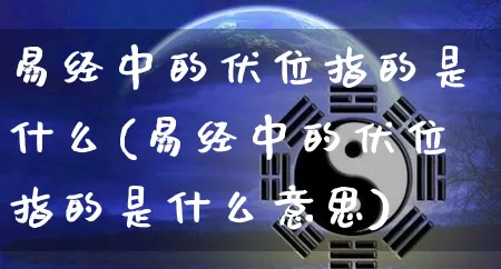 易经中的伏位指的是什么(易经中的伏位指的是什么意思)_https://www.dao-sheng-yuan.com_易经_第1张