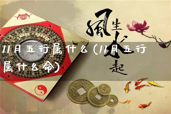 11月五行属什么(11月五行属什么命)_https://www.dao-sheng-yuan.com_五行_第1张