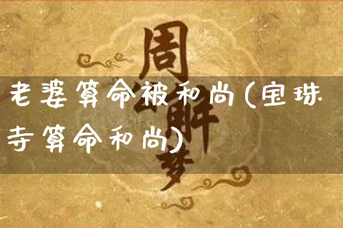 老婆算命被和尚(宝珠寺算命和尚)_https://www.dao-sheng-yuan.com_算命_第1张