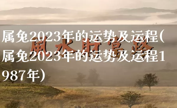 属兔2023年的运势及运程(属兔2023年的运势及运程1987年)_https://www.dao-sheng-yuan.com_五行_第1张