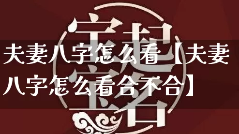 夫妻八字怎么看【夫妻八字怎么看合不合】_https://www.dao-sheng-yuan.com_八字_第1张